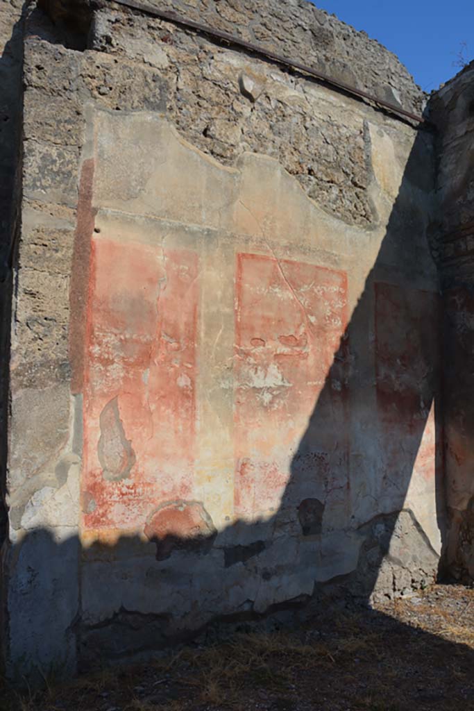 VI.14.40 Pompeii. September 2019. North wall of tablinum.
Foto Annette Haug, ERC Grant 681269 DÉCOR
According to Kuivalainen – 
In the tablinum “The zoccolo/dado was black with floral motifs, the central zone was red with panels divided with bands, and between the fields were candelabra with twining plants. The upper zone had a white background.
On the upper north wall, but nearly destroyed, was a painted youth (a young, almost naked Bacchus) …… On the other walls Apollo and Ceres were painted.”
Description: A youth standing with his weight on his left foot, wearing yellow boots, a red cloak covering his back and forearms; a band from the right shoulder goes to the left hip. On his head is a vine wreath. In his right hand he holds a cantharus, in his left a thyrsus.
Comments: Young almost naked Bacchus. The band is rare, the boots or high footwear are more common.
See Kuivalainen, I., 2021. The Portrayal of Pompeian Bacchus. Commentationes Humanarum Litterarum 140. Helsinki: Finnish Society of Sciences and Letters, p.97, B5.