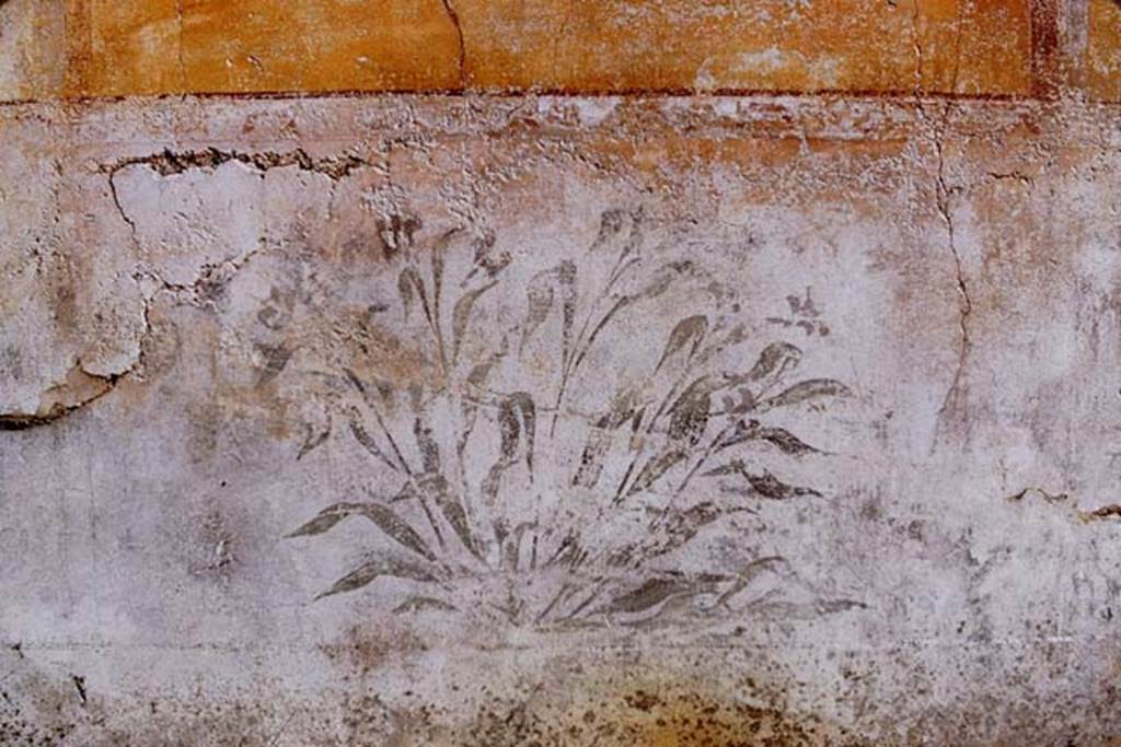 VI.14.40 Pompeii. 1966. Painted plant on south wall of tablinum. Photo by Stanley A. Jashemski.
Source: The Wilhelmina and Stanley A. Jashemski archive in the University of Maryland Library, Special Collections (See collection page) and made available under the Creative Commons Attribution-Non Commercial License v.4. See Licence and use details.
J66f0250