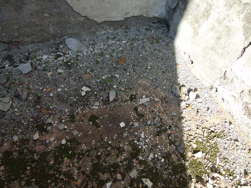VI.14.43 Pompeii. December 2007. Room 15, remains of decorated floor in triclinium.