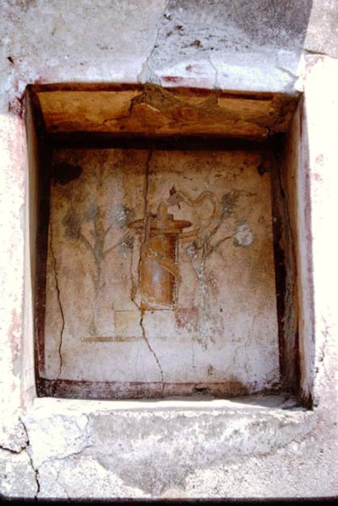 VI.14.43 Pompeii. 1964. Niche with painted altar with plants and serpent.  Photo by Stanley A. Jashemski.
Source: The Wilhelmina and Stanley A. Jashemski archive in the University of Maryland Library, Special Collections (See collection page) and made available under the Creative Commons Attribution-Non Commercial License v.4. See Licence and use details.
J64f1616