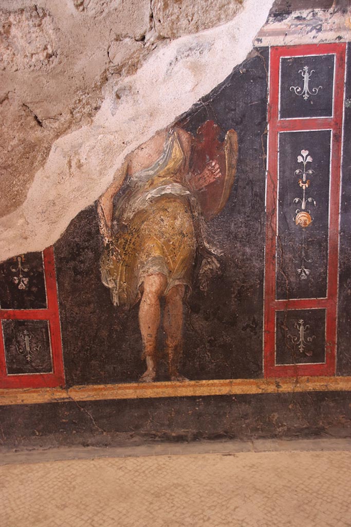 VI.15.1 Pompeii. October 2023.
West wall, painted panel in zoccolo of Amazon with shield. Photo courtesy of Klaus Heese.