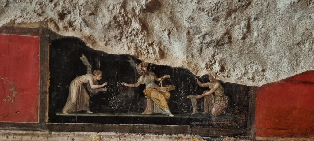 VI.15.1 Pompeii. January 2023.
West wall in north-west corner with painted panel of three Psychai gathering flowers. Photo courtesy of Miriam Colomer.