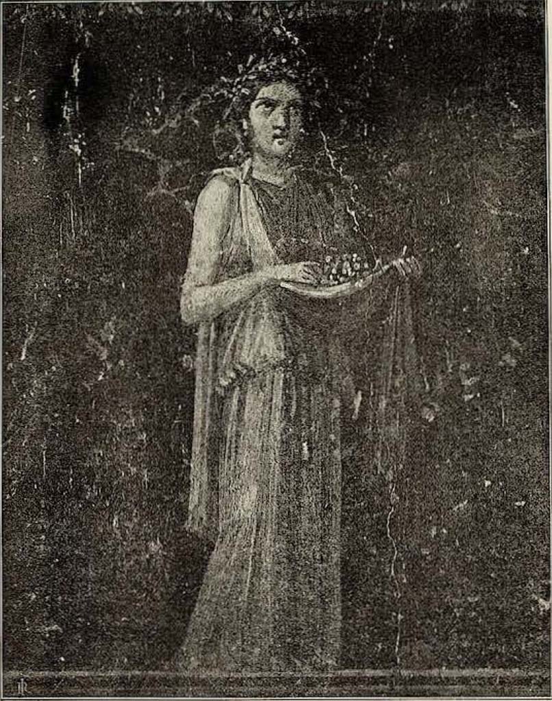 VI.15.1 Pompeii. Painted panel on zoccolo (0.50 high) from west wall at north end.
Described by Sogliano as –
“Figure muliebre che fa riscontro al n.1. Coronata di alloro, adorna di orecchini, vestita di chitone paonazzo e manto giallo, sostiene con la sinistra un seno del manto, ripieno di fiori, che ella prende con la dritta.”
(Feminine figure. Crowned with laurel, adorned with earrings, dressed in a purple gown and yellow mantle, she supports with her left hand a fold in the mantle, filled with flowers, which she takes with her right hand.)
See Sogliano, A. La Casa dei Vettii in Pompei Mon. Ant. 1898. (p.375-376, fig. 64).