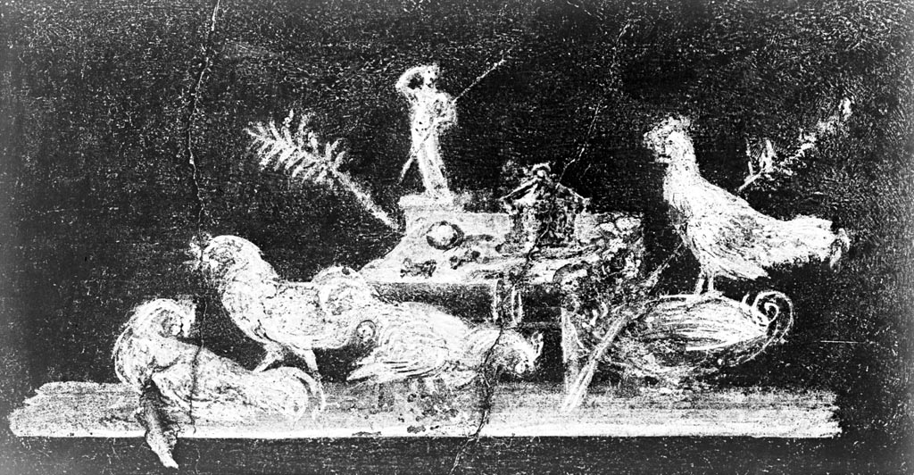 VI.15.1 Pompeii. W.99. Wall painting of chickens, from north wall of ala.
Photo by Tatiana Warscher. Photo © Deutsches Archäologisches Institut, Abteilung Rom, Arkiv.