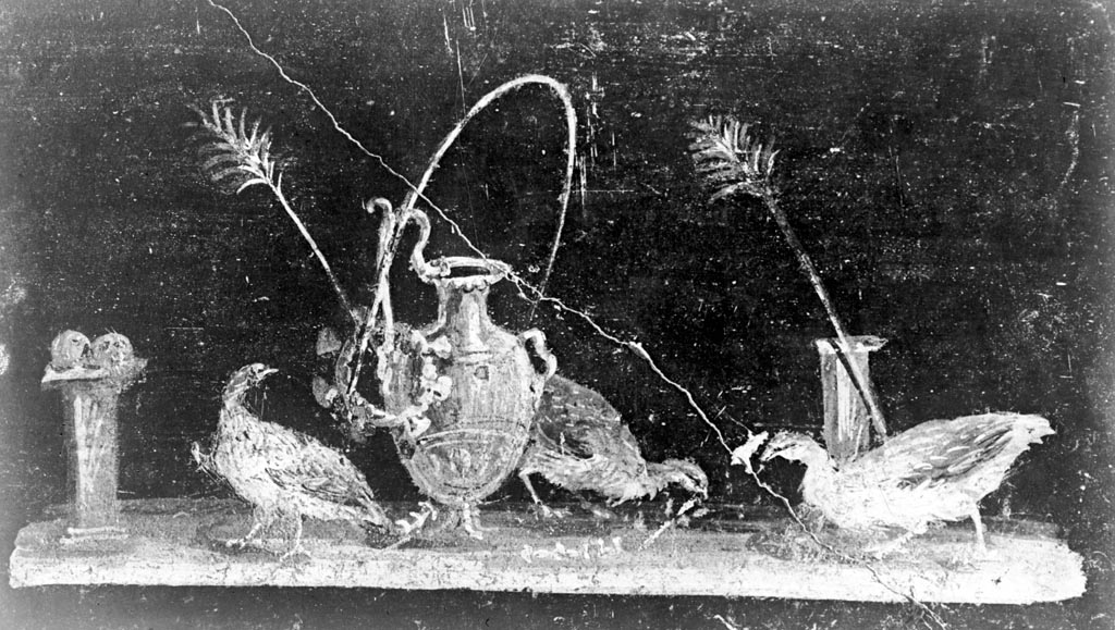 VI.15.1 Pompeii. W.93. Wall painting with guinea fowl and hydria with crown on handle, from panel on east wall.
Photo by Tatiana Warscher. Photo © Deutsches Archäologisches Institut, Abteilung Rom, Arkiv.