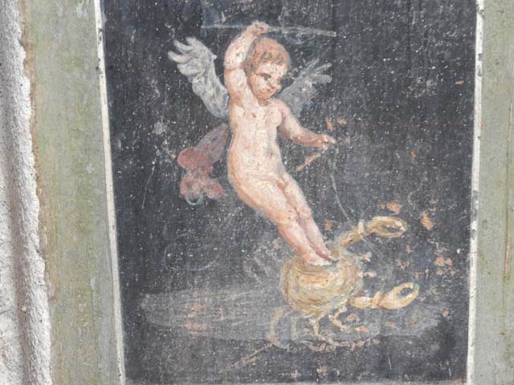 VI.15.1 Pompeii. May 2017.
Detail of painted cupid on crab on south end of west wall of atrium, leading onto peristyle. Photo courtesy of Buzz Ferebee.