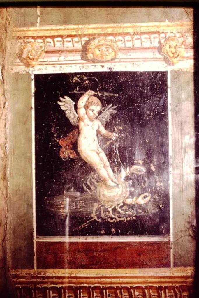 VI.15.1 Pompeii. 1961. Detail of painted pillar between peristyle and atrium showing cherub or cupid riding a crab. Photo by Stanley A. Jashemski.
Source: The Wilhelmina and Stanley A. Jashemski archive in the University of Maryland Library, Special Collections (See collection page) and made available under the Creative Commons Attribution-Non Commercial License v.4. See Licence and use details.
J61f0422