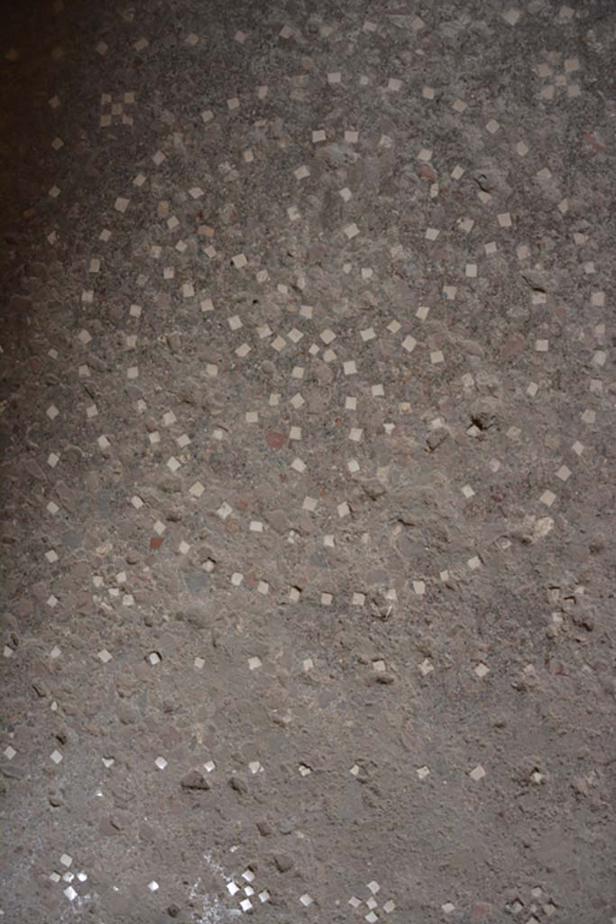 VI.15.1 Pompeii. July 2017. Detail from flooring in room on south side of entrance doorway.
Foto Annette Haug, ERC Grant 681269 DÉCOR.