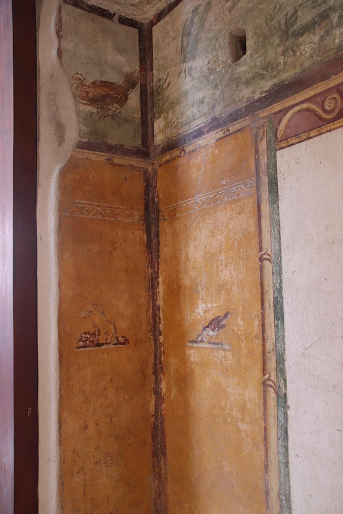 VI.15.1 Pompeii. October 2024.
Looking towards north-west corner of cubiculum. Photo courtesy of Klaus Heese.