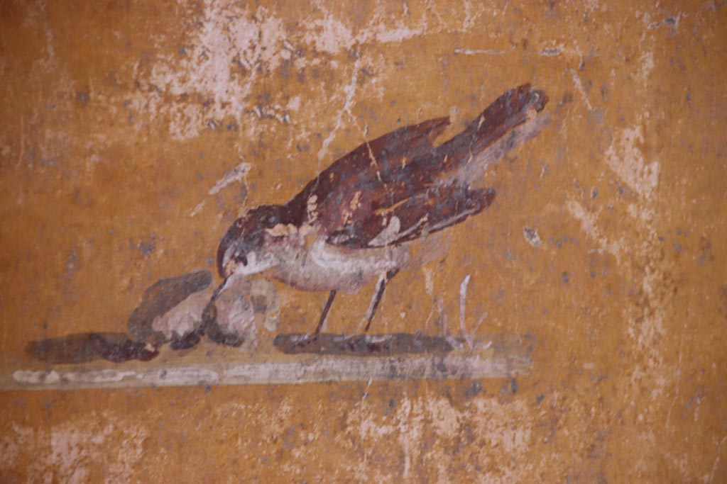 VI.15.1 Pompeii. Pompeii. October 2023.
Detail of painted bird from panel at west end of north wall of bedroom on left of main entrance. Photo courtesy of Klaus Heese.