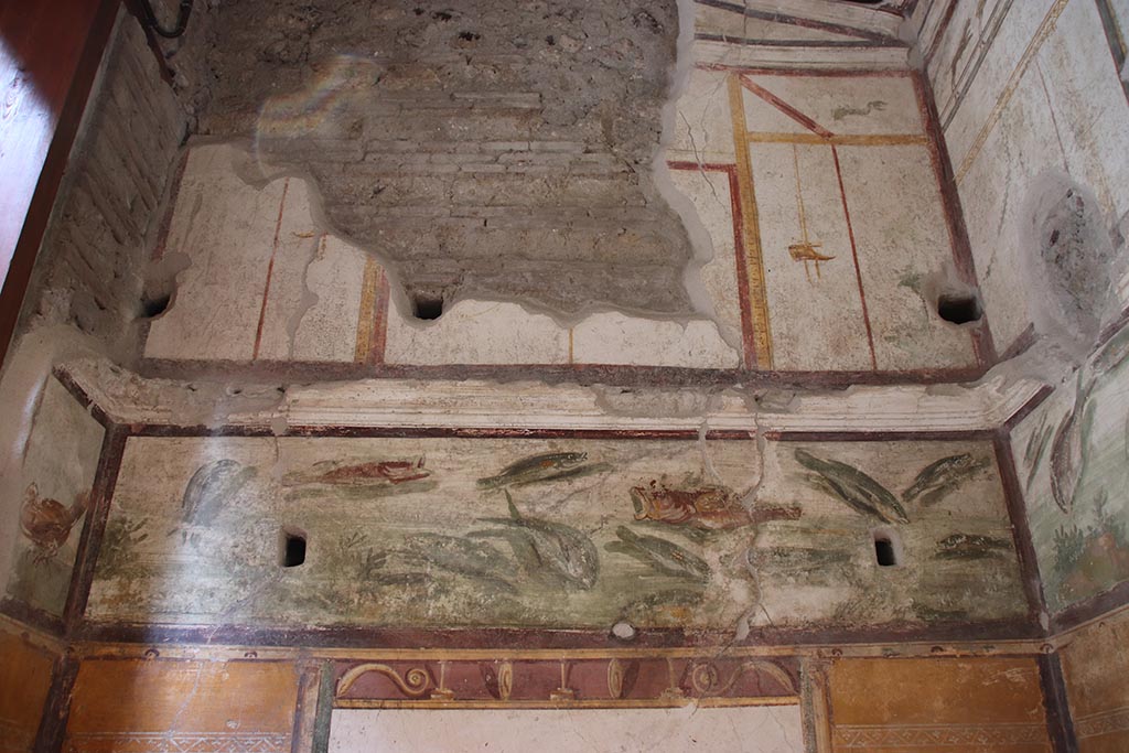 VI.15.1 Pompeii. October 2024. Upper north wall. Photo courtesy of Klaus Heese.