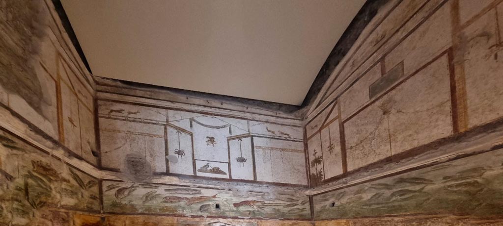 VI.15.1 Pompeii. January 2023.
Looking east in bedroom on left of main entrance with details of frieze of fishes on upper walls. Photo courtesy of Miriam Colomer.