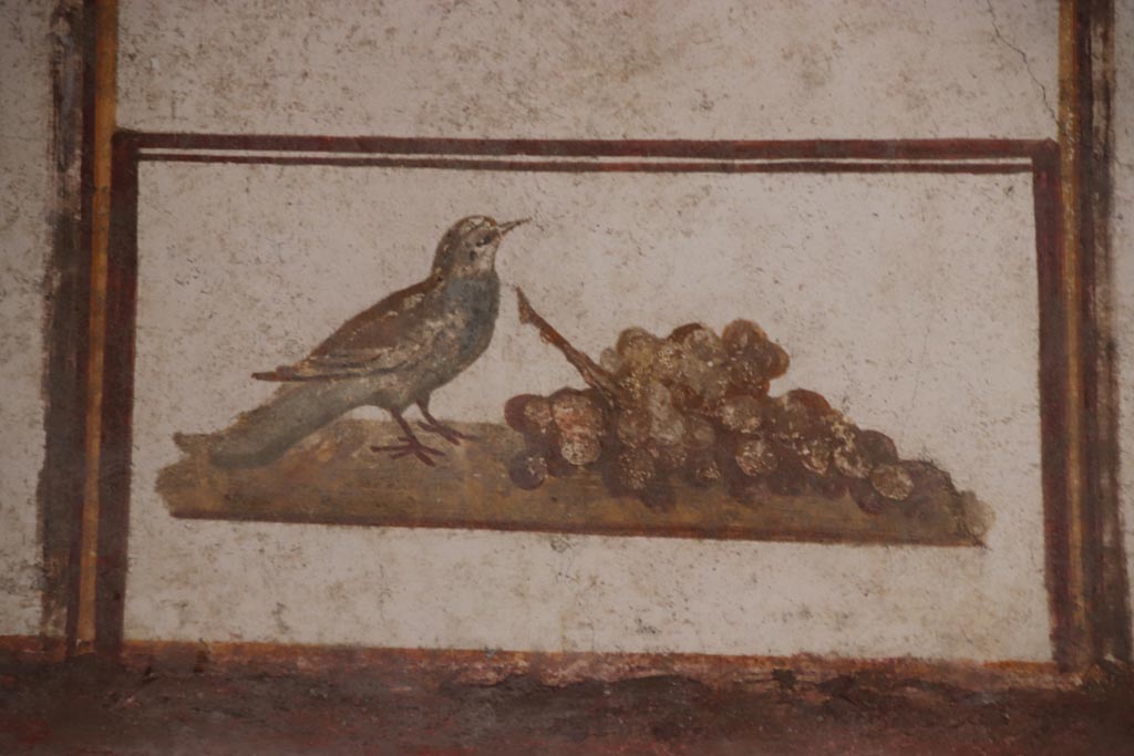 VI.15.1Pompeii. October 2023.
Cubiculum (d), painted panel from centre of upper east wall above frieze of fish. Photo courtesy of Klaus Heese.