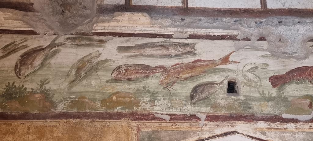 VI.15.1 Pompeii. January 2023.
Detail from fish frieze at north end of east wall of bedroom, on left of main entrance. Photo courtesy of Miriam Colomer