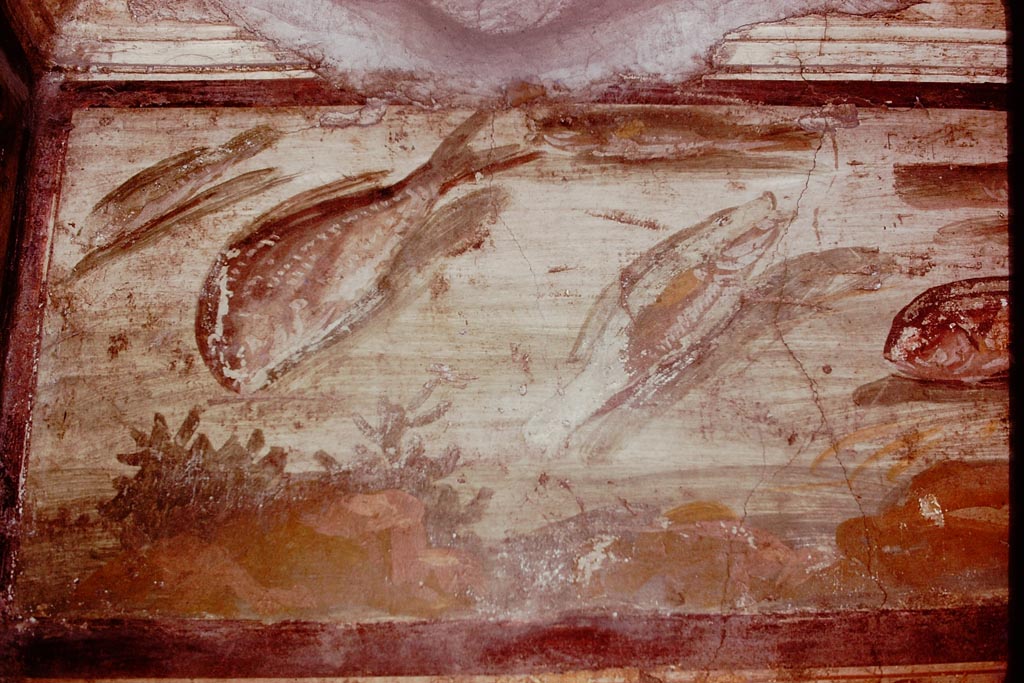 VI.15.1 Pompeii, 1978. North end of east wall frieze of fishes. Photo by Stanley A. Jashemski.
Source: The Wilhelmina and Stanley A. Jashemski archive in the University of Maryland Library, Special Collections (See collection page) and made available under the Creative Commons Attribution-Non-Commercial License v.4. See Licence and use details.
J78f0644