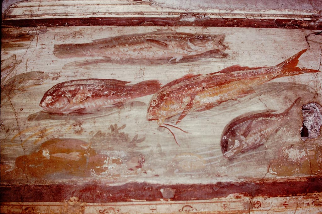 VI.15.1 Pompeii, 1978. Centre of east wall frieze of fishes. Photo by Stanley A. Jashemski.
Source: The Wilhelmina and Stanley A. Jashemski archive in the University of Maryland Library, Special Collections (See collection page) and made available under the Creative Commons Attribution-Non-Commercial License v.4. See Licence and use details.
J78f0645
