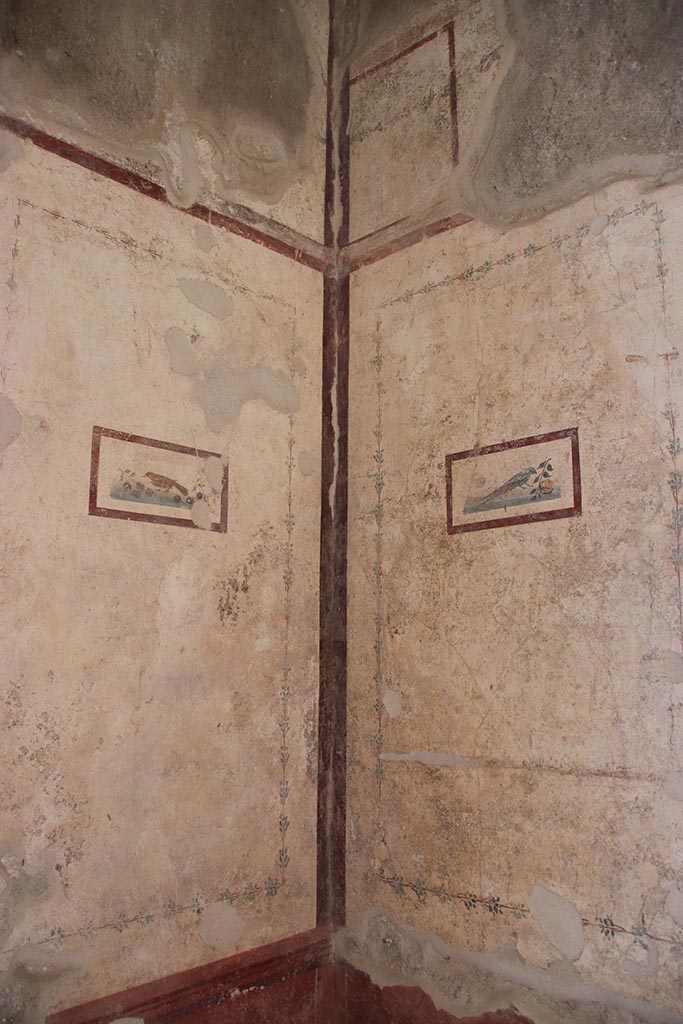 VI.15.1 Pompeii. October 2024. Cubiculum k, north-west corner. Photo courtesy of Klaus Heese.