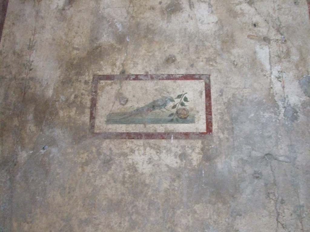 VI.15.1 Pompeii. December 2006. Detail of bird painting from west end of north wall, in bedroom leading from atrium.
(PPM – room k)
