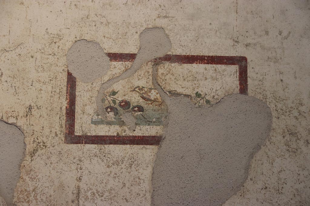 VI.15.1 Pompeii. October 2024.
Cubiculum k, detail of painted panel of bird with cherries, from south end of east wall. Photo courtesy of Klaus Heese.
