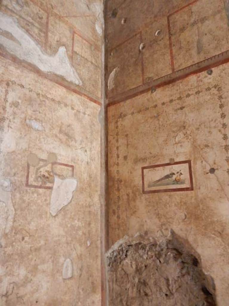 VI.15.1 Pompeii. May 2017. Looking towards south-east corner. Photo courtesy of Buzz Ferebee.