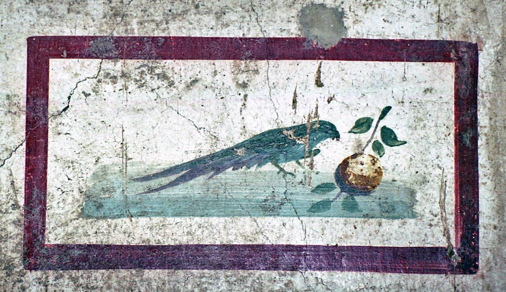 VI.15.1 Pompeii. October 2001.
Painted panel from east end of south wall in bedroom on north side of entrance corridor. Photo courtesy of Peter Woods.
(PPM – room k)