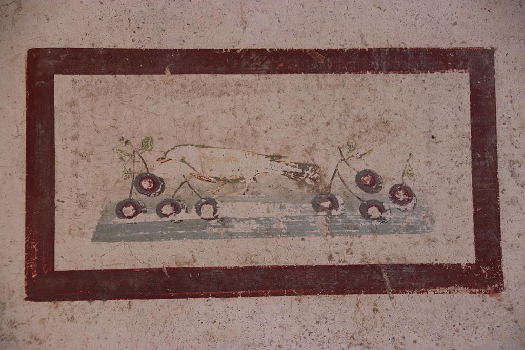 VI.15.1 Pompeii. October 2024.
Cubiculum k, painted panel of bird with cherries from west end of south wall. Photo courtesy of Klaus Heese.