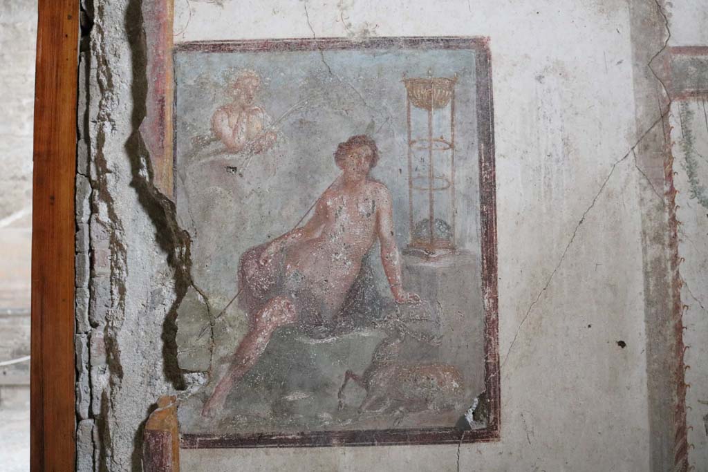 VI.15.1 Pompeii. December 2018.
North wall of oecus on south side of atrium, wall painting of the Metamorphosis of Cyparissus. Photo courtesy of Aude Durand.