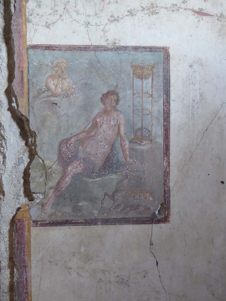 VI.15.1 Pompeii. January 2017.
North wall of oecus, wall painting of the Metamorphosis of Cyparissus.
Foto Annette Haug, ERC Grant 681269 DÉCOR.