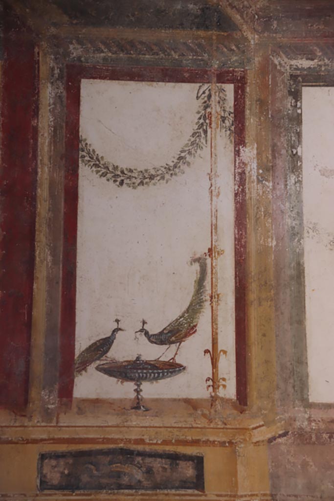 VI.15.1 Pompeii. October 2023.
Detail of painted peacocks from upper east wall at north end. Photo courtesy of Klaus Heese.