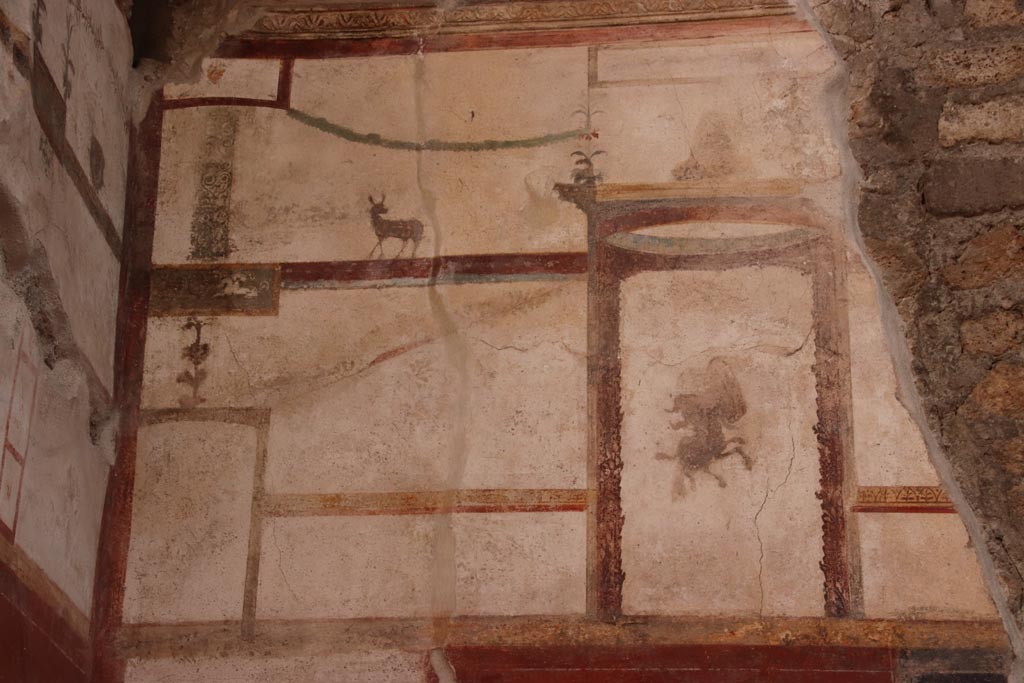 VI.15.1 Pompeii. October 2023.
Looking towards upper east wall in north-east corner. Photo courtesy of Klaus Heese.