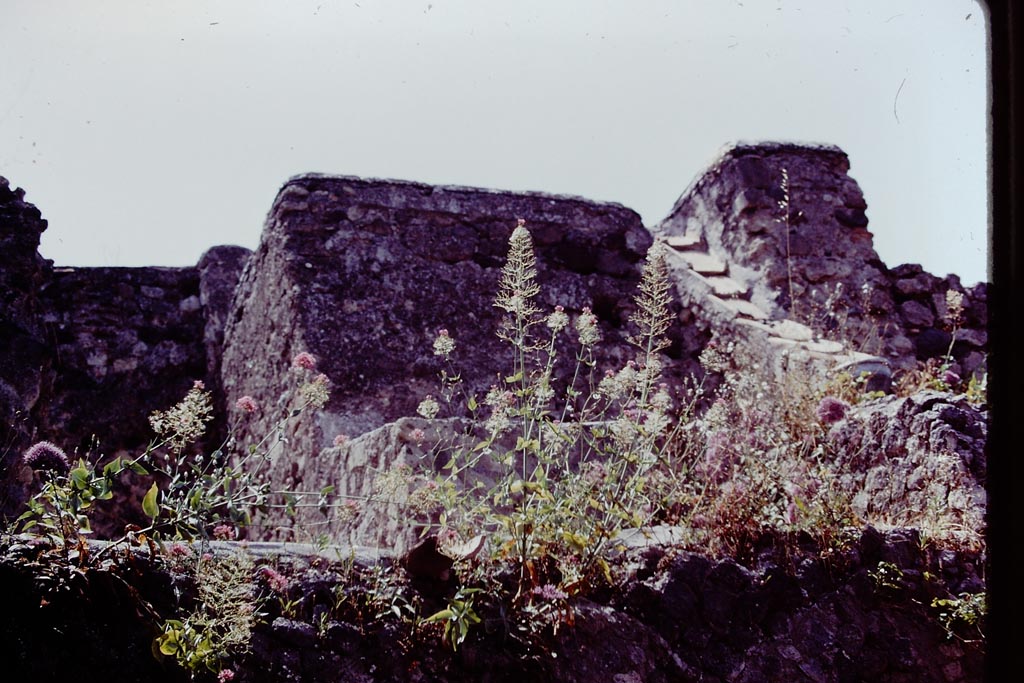 VI.15.1 and 2 Pompeii. 1978. Looking north from VI.15.1 towards upper floor and VI.15.2. Photo by Stanley A. Jashemski.
Source: The Wilhelmina and Stanley A. Jashemski archive in the University of Maryland Library, Special Collections (See collection page) and made available under the Creative Commons Attribution-Non-Commercial License v.4. See Licence and use details.
J78f0241