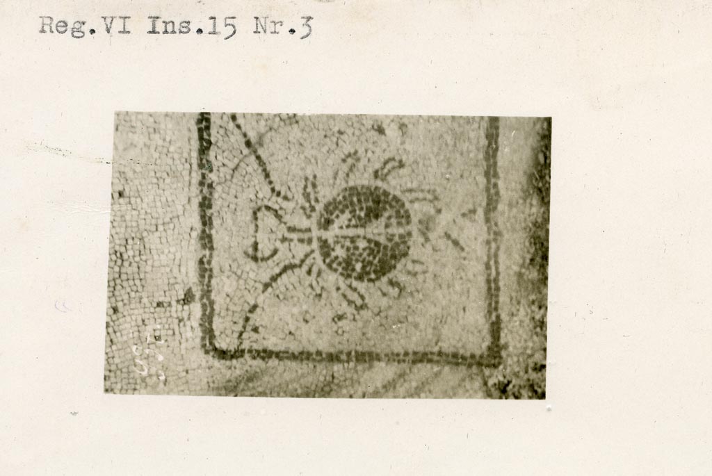 VI.15.3 Pompeii. Pre-1937-39. Mosaic of a spider found in the fullonica di Mustius.
Photo courtesy of American Academy in Rome, Photographic Archive. Warsher collection no. 944.