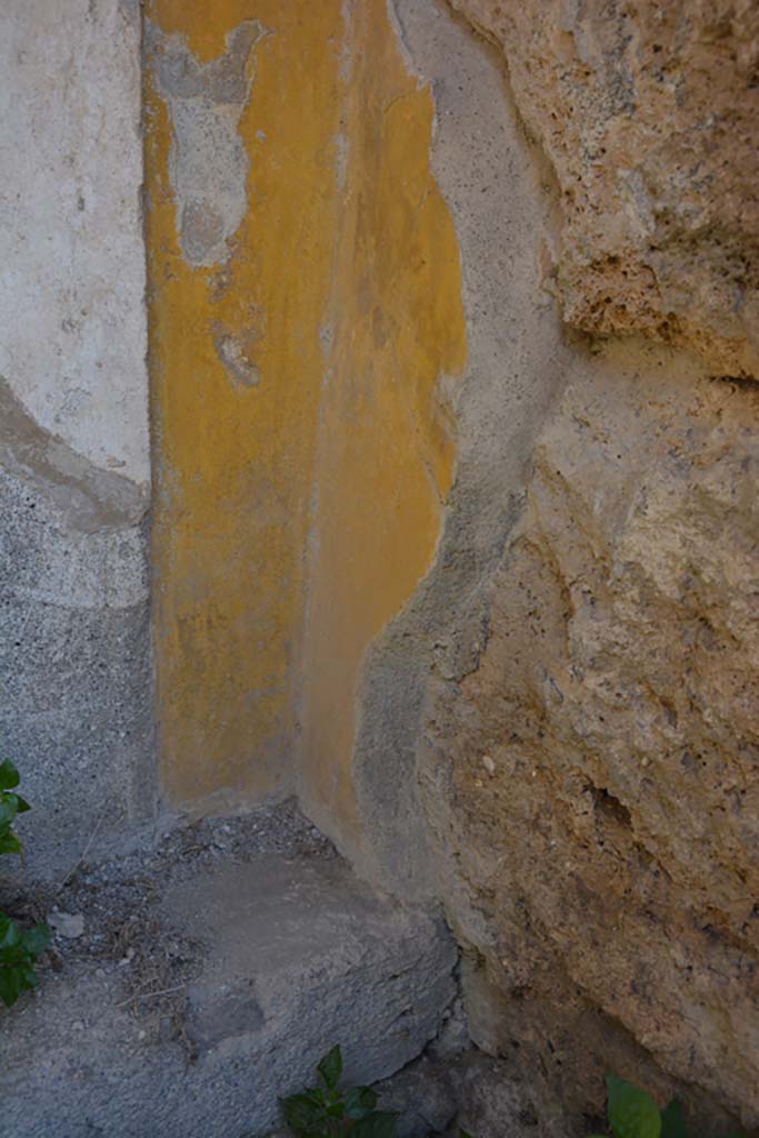 VI 15 5 Pompeii. March 2019. Room 1, detail of painted corner of south side of recess in atrium.
Foto Annette Haug, ERC Grant 681269 DÉCOR.