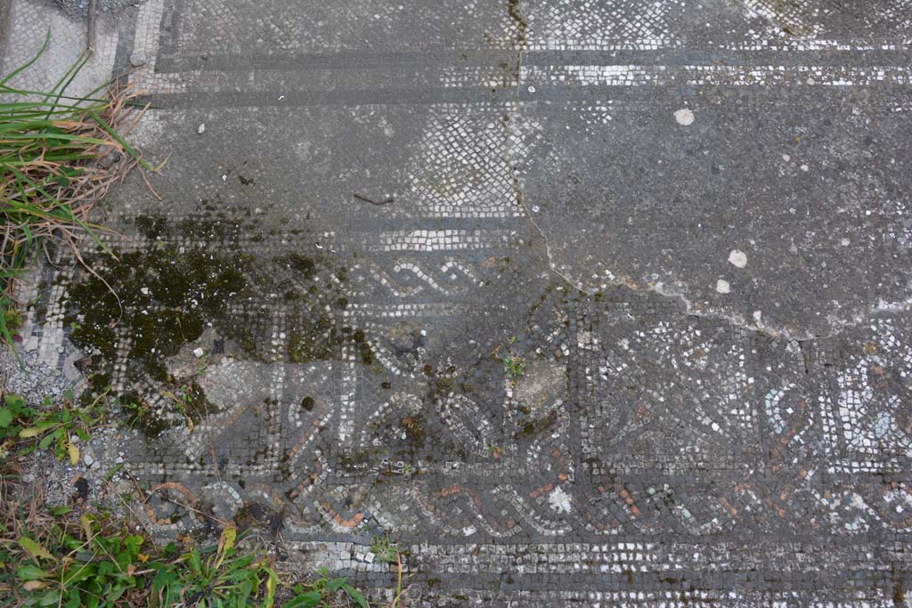 VI 15 5 Pompeii. March 2019. Tablinum 7, coloured mosaic threshold in tablinum, detail starting from the south (left) side.
Foto Annette Haug, ERC Grant 681269 DÉCOR.