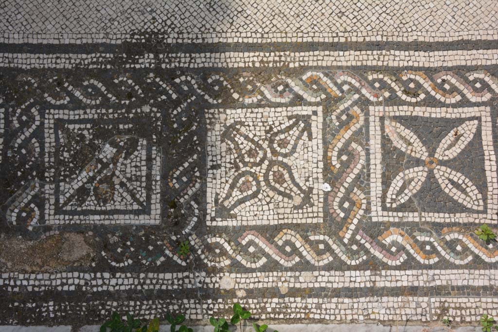 VI 15 5 Pompeii. March 2019. Tablinum 7, coloured mosaic threshold, detail starting from the south (left) side. 
Foto Annette Haug, ERC Grant 681269 DÉCOR.