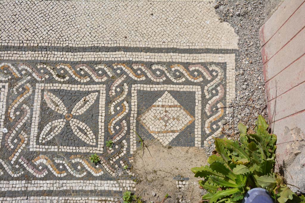 VI 15 5 Pompeii. March 2019. 
Tablinum 7, coloured mosaic threshold, detail starting from the south (left) side and finishing here on the north (right).
Foto Annette Haug, ERC Grant 681269 DÉCOR.