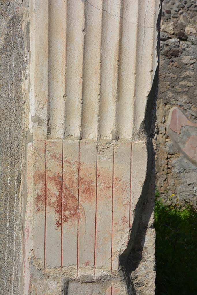 VI 15 5 Pompeii. March 2019. Tablinum 7, detail from north wall pilaster at east end.
Foto Annette Haug, ERC Grant 681269 DÉCOR.