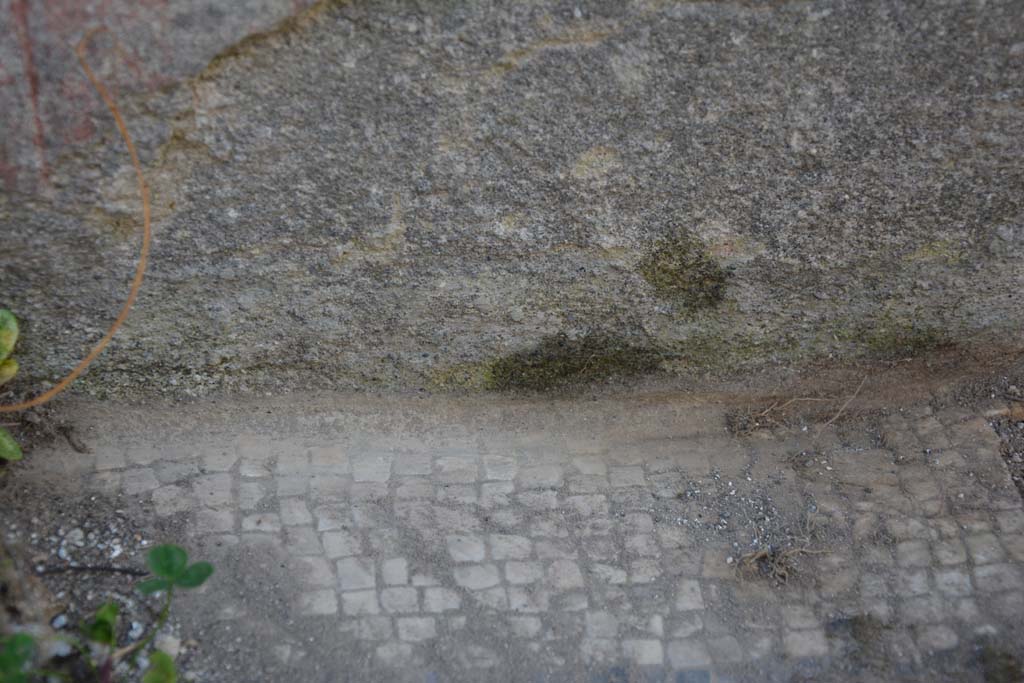 VI 15 5 Pompeii. March 2019. Tablinum 7, detail of mosaic flooring near south wall.
Foto Annette Haug, ERC Grant 681269 DÉCOR.