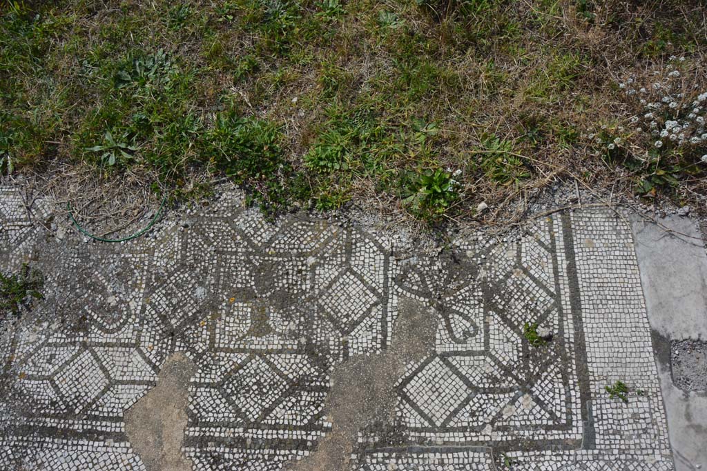 VI 15 5 Pompeii. March 2019. Tablinum 7, mosaic at north end of west side of tablinum.
Foto Annette Haug, ERC Grant 681269 DÉCOR.