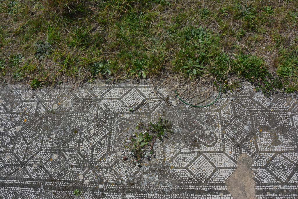 VI 15 5 Pompeii. March 2019. Tablinum 7, mosaic in centre of west side of threshold end of tablinum.
Foto Annette Haug, ERC Grant 681269 DÉCOR.