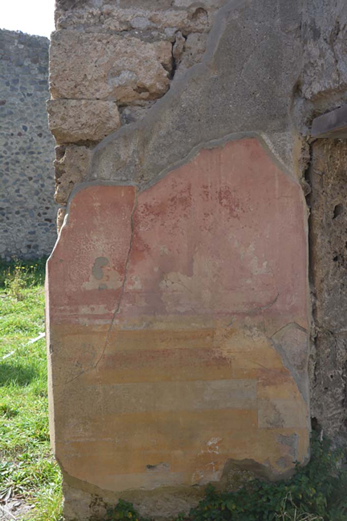VI 15 5 Pompeii. March 2019. Oecus/triclinium 8, west wall on north side of doorway.
Foto Annette Haug, ERC Grant 681269 DÉCOR.