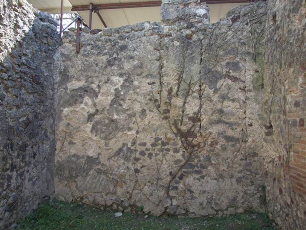 VI.15.5 Pompeii. March 2009. Room 10, south wall.