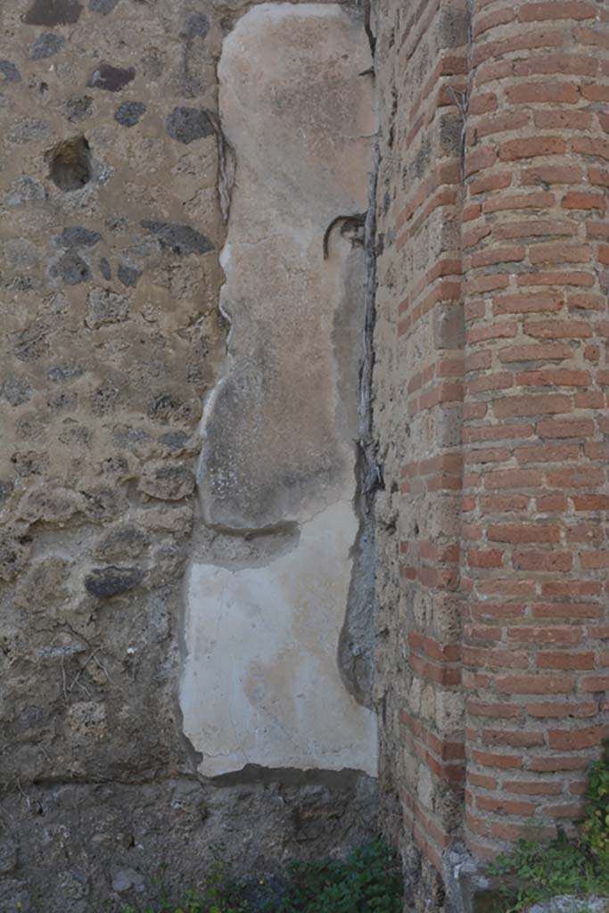 VI 15 5 Pompeii. March 2019. 
Garden area 11, Detail from west wall of garden area in north-west corner.
Foto Annette Haug, ERC Grant 681269 DÉCOR.