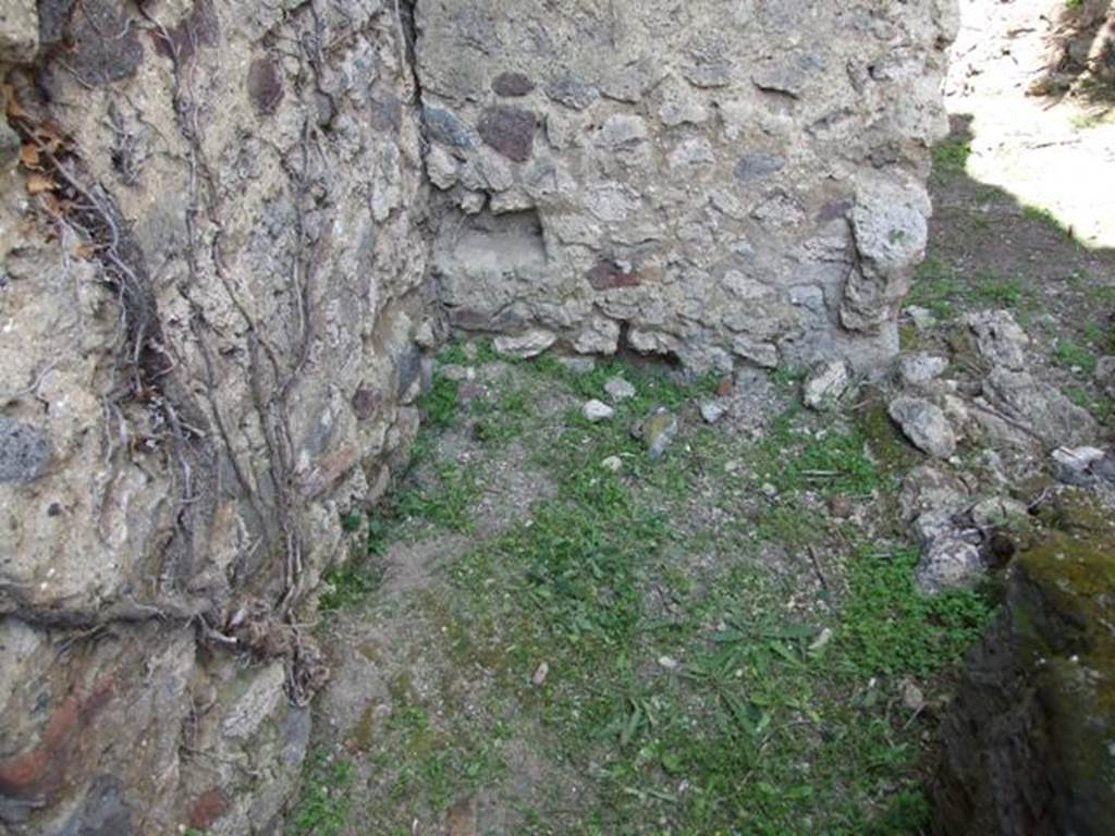 VI.15.5 Pompeii. March 2009. Room 21, latrine, looking north.According to Hobson, the latrine in a room to the north of blocked entrance 24, had slots in the walls for a latrine seat. In Hobson’s book there is a photo with west and east wall, showing two slots for latrine seat. In the above photo, the east wall has collapsed as well as its slot. The slot in the west wall, north-west corner, is still visible. See Hobson, B. 2009. Pompeii, Latrines and Down Pipes. Oxford, Hadrian Books, (p.278, and 280)
