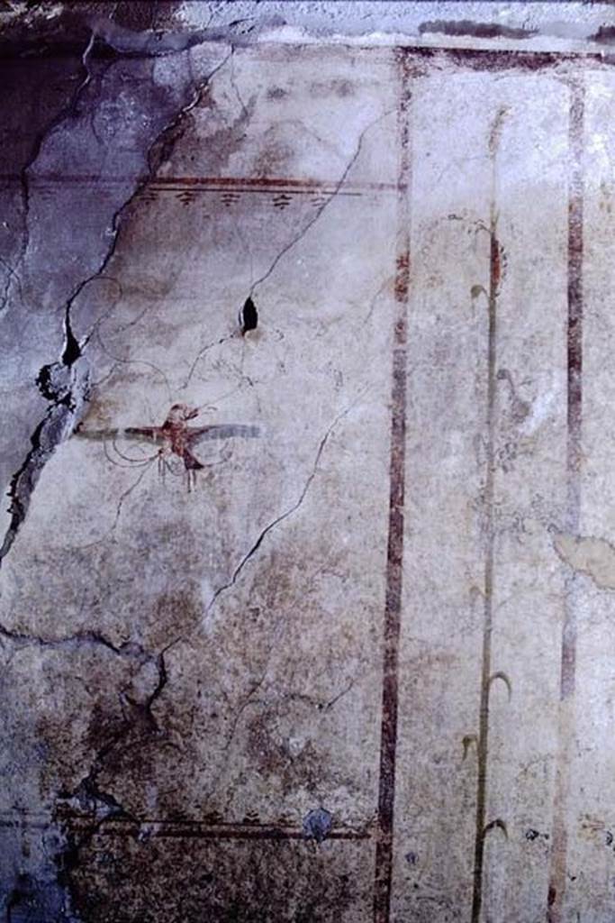 VI.15.8 Pompeii. 1968. Detail of west wall. Photo by Stanley A. Jashemski.
Source: The Wilhelmina and Stanley A. Jashemski archive in the University of Maryland Library, Special Collections (See collection page) and made available under the Creative Commons Attribution-Non-Commercial License v.4. See Licence and use details.
J68f1012