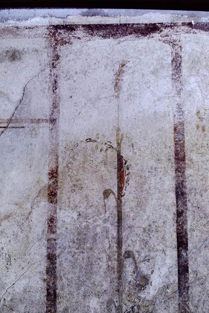 VI.15.8 Pompeii. 1968. Detail from panel on west wall.  Photo by Stanley A. Jashemski.
Source: The Wilhelmina and Stanley A. Jashemski archive in the University of Maryland Library, Special Collections (See collection page) and made available under the Creative Commons Attribution-Non Commercial License v.4. See Licence and use details. J68f1011