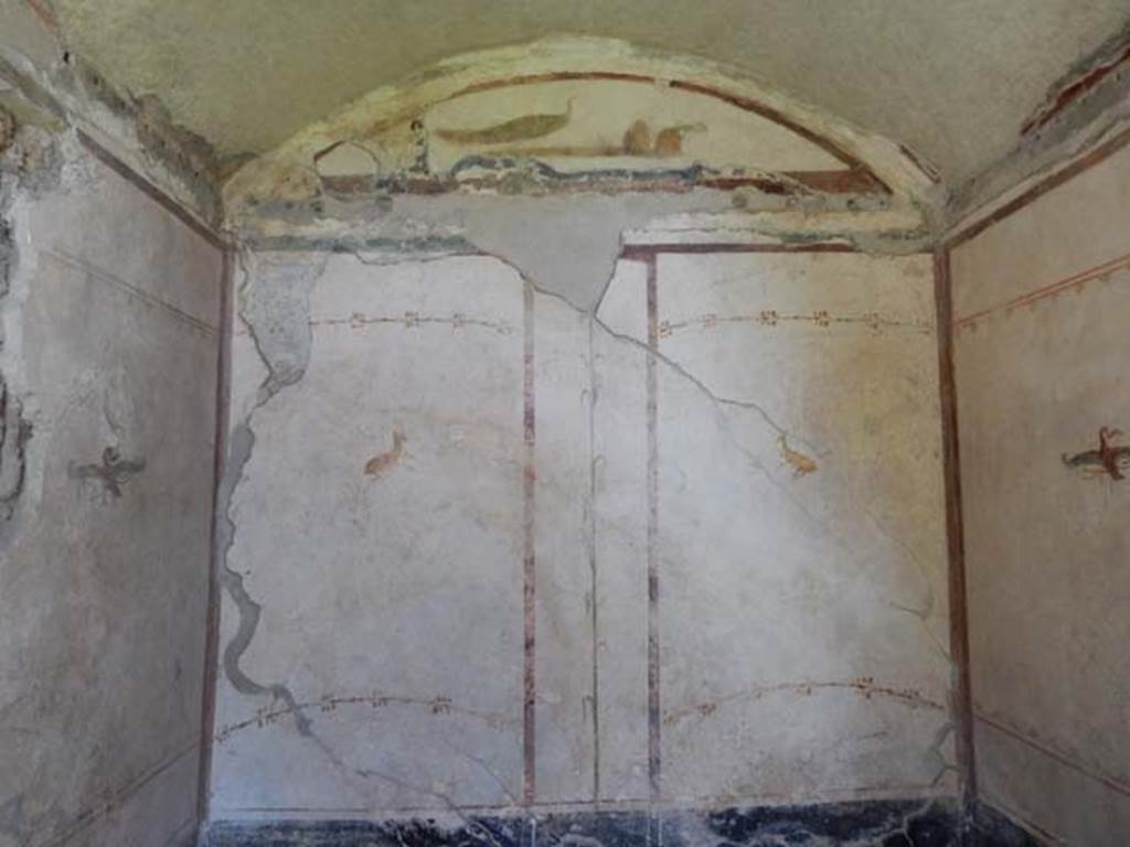 VI.15.8 Pompeii. May 2015. North wall of cubiculum. Photo courtesy of Buzz Ferebee.