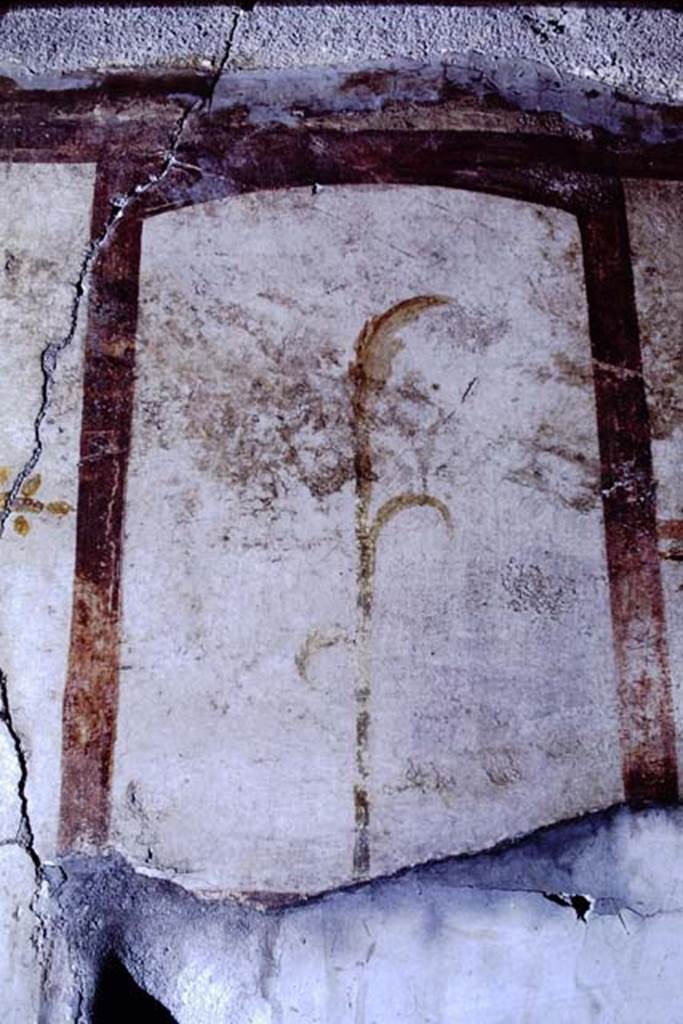 VI.15.8 Pompeii. 1968.  Detail from east wall of top of painted candelabra of reed. 
Photo by Stanley A. Jashemski. 
Source: The Wilhelmina and Stanley A. Jashemski archive in the University of Maryland Library, Special Collections (See collection page) and made available under the Creative Commons Attribution-Non Commercial License v.4. See Licence and use details. J68f1014