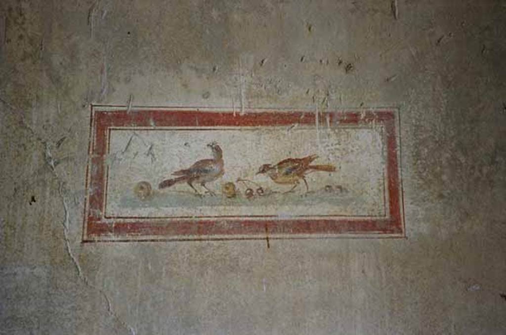 VI.15.8 Pompeii. May 2010.   North wall of the portico.  Panel showing birds with fruit. Photo courtesy of Rick Bauer.