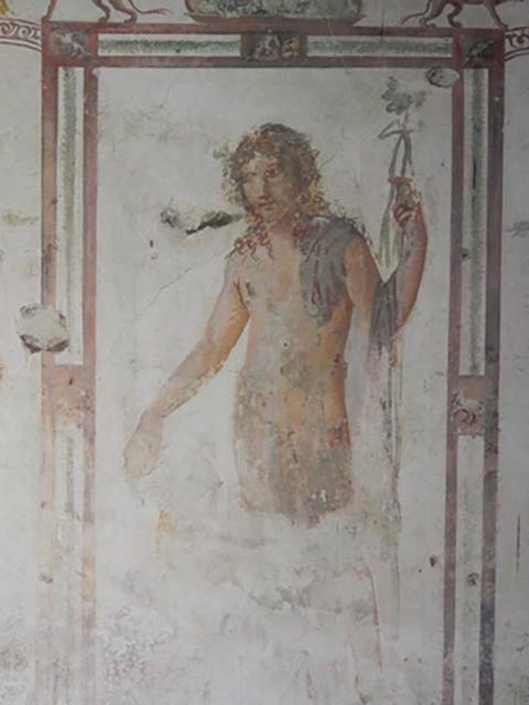 VI.15.8 Pompeii. May 2015. 
Fresco of male figure (Bacchus) from the south wall of the summer triclinium. Photo courtesy of Buzz Ferebee.
Kuivalainen comments –
“A young naked Bacchus with a panther, depicted in exceptionally large size, in the same manner as the Venus on her respective wall. The artist was very talented, and may be the same one (or used the same pattern) as in the House of Iulius Polybius, showing elaborate curls……………………”
See Kuivalainen, I., 2021. The Portrayal of Pompeian Bacchus. Commentationes Humanarum Litterarum 140. Helsinki: Finnish Society of Sciences and Letters, (p.111-12, C9).